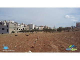 ارض للبيع في مرج الحمام/ ام عبهرة - قرب جمعية الياسمين لأطفال الداون