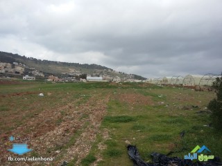 ارض للبيع في المستندة/ حي القاضي - قرب مسجد فلاح حجيلة الحنيطي
