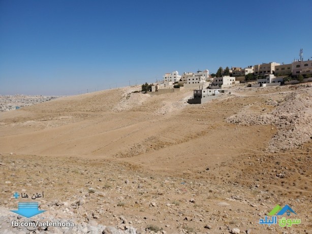 ard-llbyaa-fy-alzrkaaa-dahy-almdyn-almnor-krb-msgd-alshykh-ahmd-yasyn-big-3