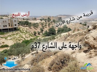 ارض للبيع في قرية ابو نصير/ الهربج - قرب مسجد الروضة