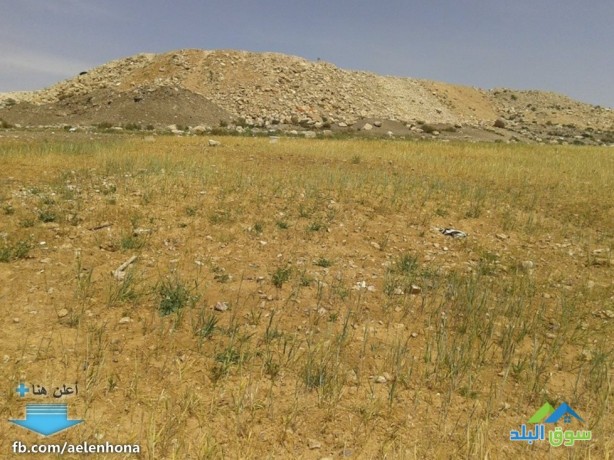 ard-llbyaa-fy-marka-askan-marka-krb-msgd-alhbyb-almstf-big-4