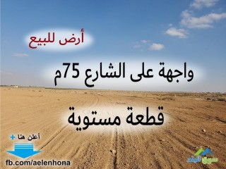 ارض للبيع في الجيزة/ السيفية - تبعد 3كم و 520م عن الطريق الصحراوي