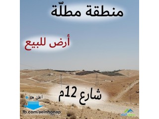 قطعة أرض في زينات الربوع/ الشكارة - تبعد كيلومتر واحد و 700م عن ترخيص شفا بدران.