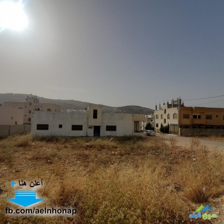 ktaa-ard-fy-aayn-albasha-hy-alamyr-aaly-krb-msgd-alshafaay-big-3